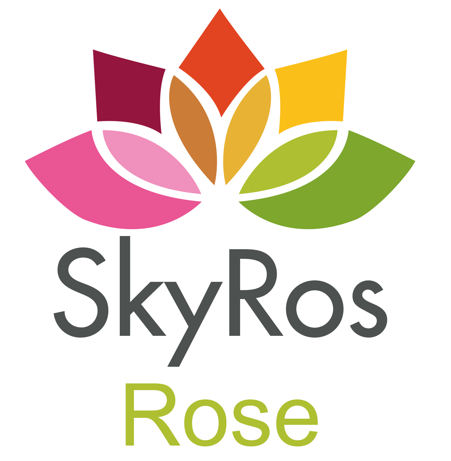 Logo Skyros